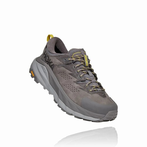 Hoka One One KAHA LOW GORE-TEX Hiking Shoes For Men India Grey IN-2059